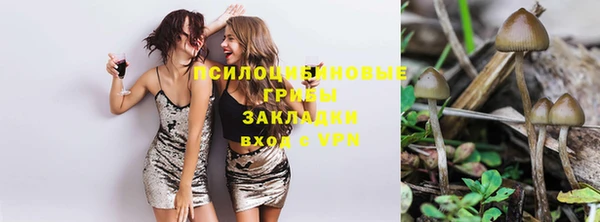 ПСИЛОЦИБИНОВЫЕ ГРИБЫ Белоозёрский