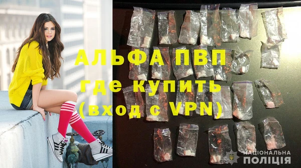 ПСИЛОЦИБИНОВЫЕ ГРИБЫ Белоозёрский