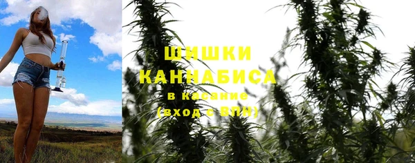 ПСИЛОЦИБИНОВЫЕ ГРИБЫ Белоозёрский