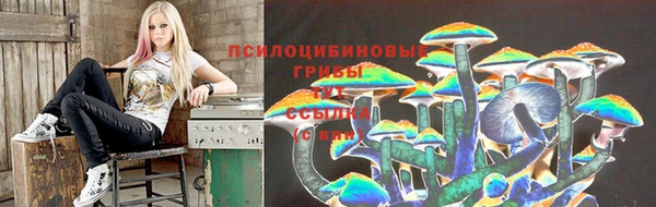 ПСИЛОЦИБИНОВЫЕ ГРИБЫ Белоозёрский