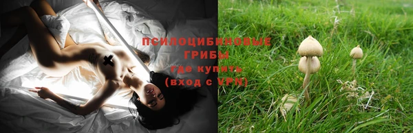 трава Богданович