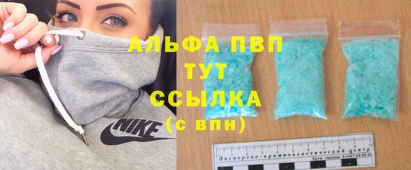 ПСИЛОЦИБИНОВЫЕ ГРИБЫ Белоозёрский